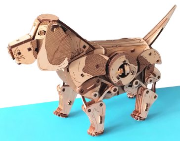 Hund