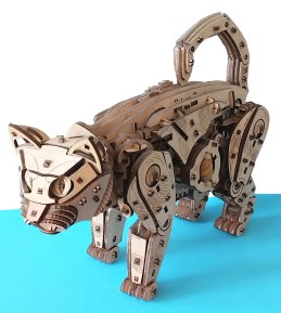 Katze