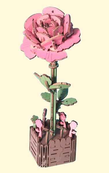 Rose
