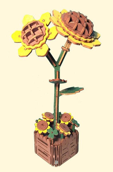 Sonnenblume